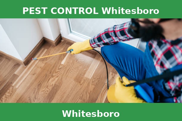 PEST CONTROL Whitesboro